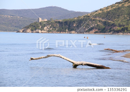 A wide-angle view of the Giannella beach in Albinia during a sunny day. The image shows the calm Tyrrhenian sea, footprints on the sand, and the Monte Argentario hills on the horizon. A peaceful Medit 135336291