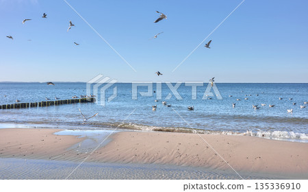 Beach on the Baltic Sea in Miedzyzdroje, Poland. Beach on the Baltic Sea in Miedzyzdroje, Poland. 135336910