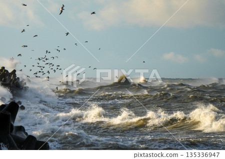 Storm waves crash against Liepaja harbor breakwater with seagulls flying above, Baltic Sea coastline Storm waves crash against Liepaja harbor breakwater with seagulls flying above, Baltic Sea coastline 135336947