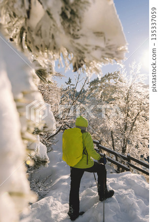Person Hiking in Winter Mountain Landscape Person Hiking in Winter Mountain Landscape 135337059