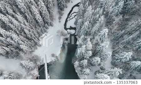 Winter Landscape in Tara National Park 135337063