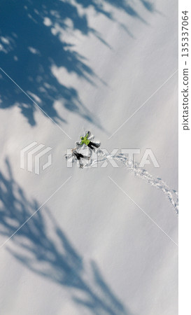 People Making Snow Angels in Winter Landscape 135337064