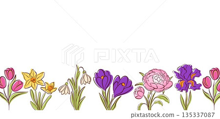 Floral bottom border with line art style spring flower snowdrop, iris, daffodil, tulip, crocus, peony. Botanical background with space for greeting card, invitation, banner, poster, stationery design. 135337087