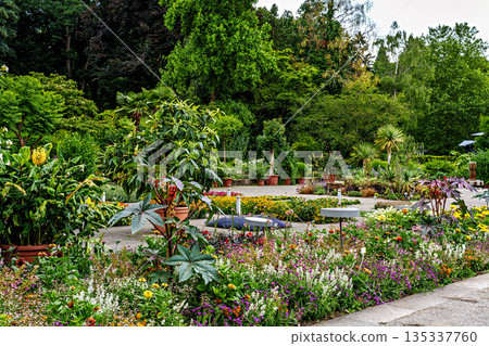 The Botanical Garden of Augsburg in Germany with garden pathes and topiary boxwood bushes on green meadows 135337760