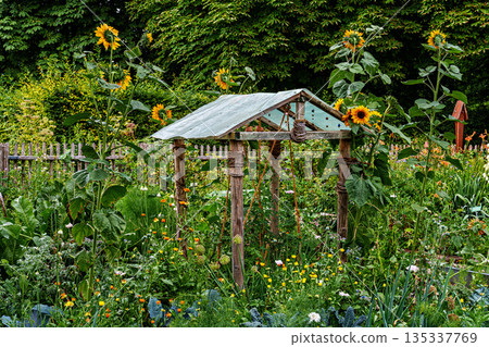 The Botanical Garden of Augsburg in Germany with garden pathes and topiary boxwood bushes on green meadows 135337769