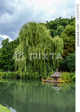 The Botanical Garden of Augsburg in Germany with garden pathes and topiary boxwood bushes on green meadows 135337771