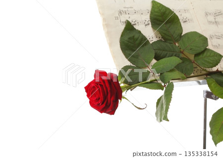 red rose and old notes Sheet music red rose and old notes Sheet music 135338154