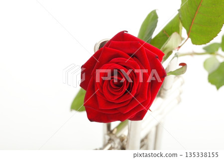 red rose and old trumpet red rose and old trumpet 135338155