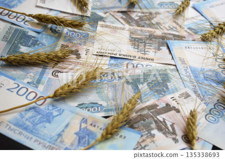 ears of wheat of black color on a fan of Russian rubles on a black background 135338693