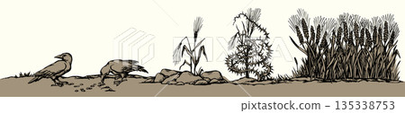 Vector drawing. Old wheat field. Biblical parable Vector drawing. Old wheat field. Biblical parable 135338753
