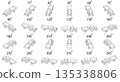 Set of 24 minimalist isometric line tractor with trailer illustrations in multiple angles, suitable for animation, agriculture, farming projects and logistics visuals. 135338806