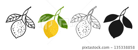 Lemon symbol cartoon set lemon branch with leaves linear doodle icon or silhouette juicy collection 135338858