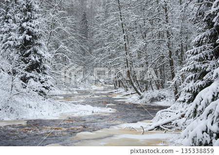 a calm winding river in a snowy forest, trees under the snow in the forest, peace and quiet, reflection on the water, without people 135338859