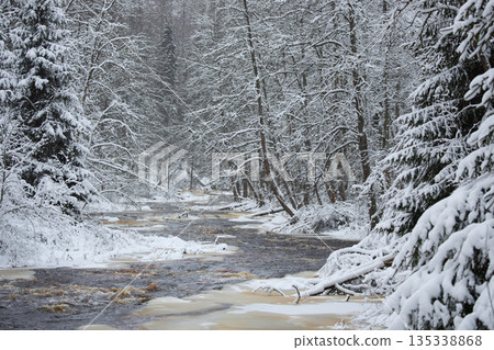 a calm winding river in a snowy forest, trees under the snow in the forest, peace and quiet, reflection on the water, without people 135338868