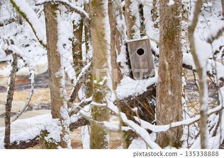 it is snowing heavily in the park, large flakes of snow are slowly falling on tree branches, no people it is snowing heavily in the park, large flakes of snow are slowly falling on tree branches, no people 135338888
