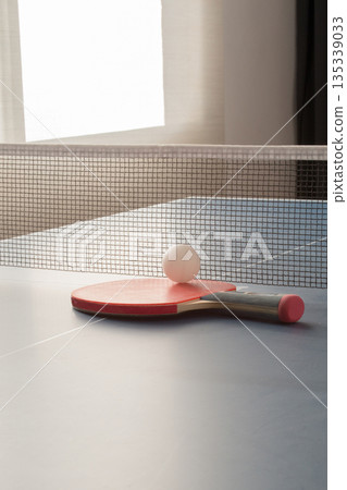 Red racket and white ball on table tennis indoors Red racket and white ball on table tennis indoors 135339033