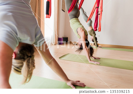 Women practicing aerial and traditional vinyasa yoga Women practicing aerial and traditional vinyasa yoga 135339215