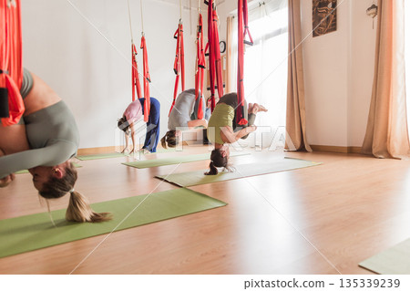 Women practicing aerial anti-gravity yoga class 135339239