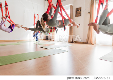 Women practicing aerial vinyasa aerial yoga class with hammocks Women practicing aerial vinyasa aerial yoga class with hammocks 135339247