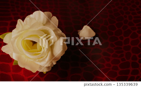 White artificial rose blooming, showing delicate fabric petals.Horizontal textured red background 135339639
