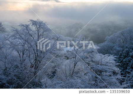 Morning on a snowy mountain covered in frost Morning on a snowy mountain covered in frost 135339650