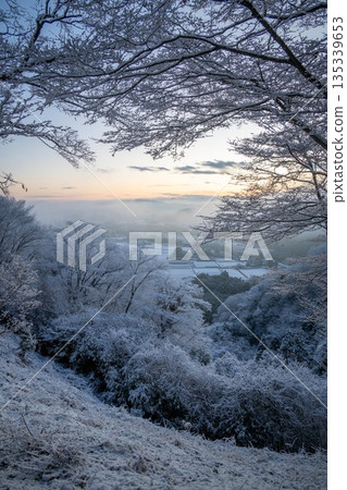 清晨，白雪皚皚的山峰上覆蓋著一層霜凍。 135339653