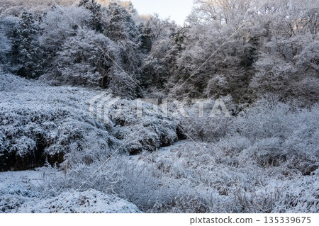 清晨，白雪皚皚的山峰上覆蓋著一層霜凍。 135339675