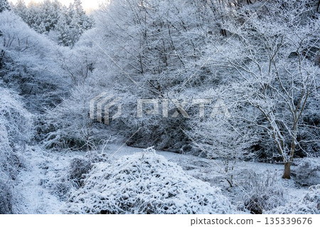 清晨,白雪皚皚的山峰上覆蓋著一層霜凍。 清晨,白雪皚皚的山峰上覆蓋著一層霜凍。 135339676