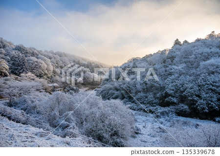 Morning on a snowy mountain covered in frost 135339678