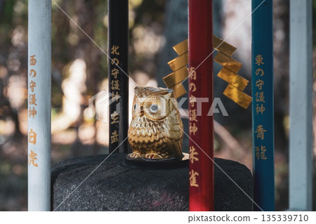Increase your fortune at Toshio Shrine Increase your fortune at Toshio Shrine 135339710