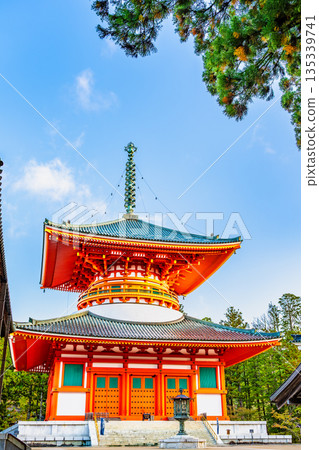 高野山、壇上伽藍、幹本大東 135339741