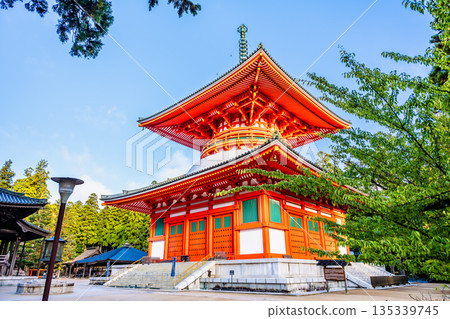 高野山、壇上伽藍、幹本大東 高野山、壇上伽藍、幹本大東 135339745