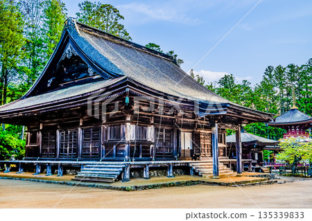 Mount Koya, Danjogaran, Great Hall 135339833