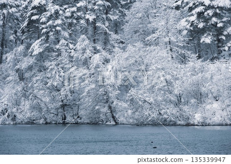 Snowy scenery of Urabandai in the depths of winter Snowy scenery of Urabandai in the depths of winter 135339947