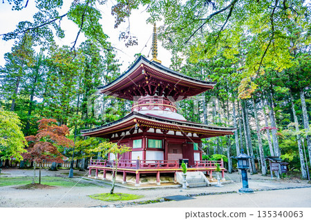 高野山壇城伽藍東塔 135340063