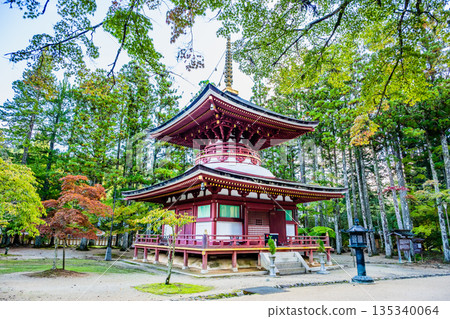 Koyasan Danjogaran East Pagoda Koyasan Danjogaran East Pagoda 135340064