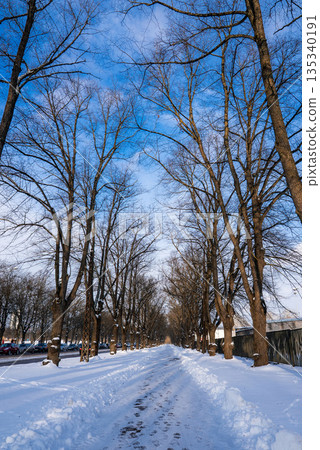A snow covered path runs through a tree lined avenue in Riga, Latvia. Footprints mark the walkway, cars and a fence line the sides, and tall bare trees form a tunnel. 135340191