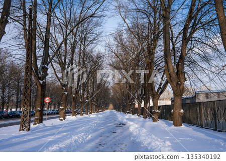 A snowy avenue in Riga, Latvia shows bare trees forming an arch, parked cars, iron fence, utility poles, snowbanks, and footprints under a clear winter sky. A snowy avenue in Riga, Latvia shows bare trees forming an arch, parked cars, iron fence, utility poles, snowbanks, and footprints under a clear winter sky. 135340192
