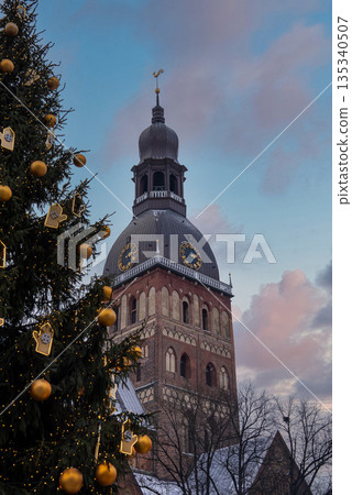 A tall Christmas tree with golden baubles and warm lights stands before Riga Cathedral dome and clock in Old Town Riga, Latvia, in soft evening light with winter trees. 135340507