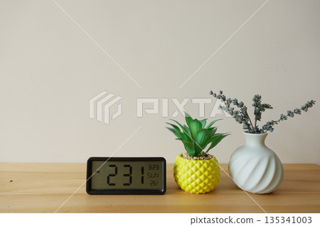 Clock and plants on wooden table in bright room Clock and plants on wooden table in bright room 135341003