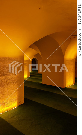 Bright arches in a long hallway with green carpet Bright arches in a long hallway with green carpet 135341011