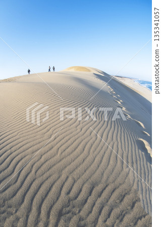 鳥取觀光（鳥取沙丘） 135341057