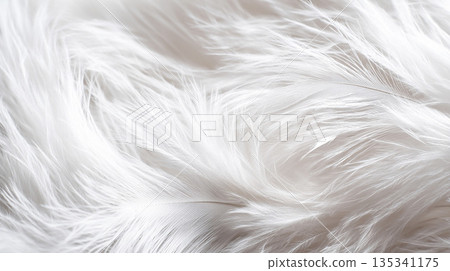 蓬鬆的白色羽毛紋理背景 135341175