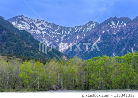 Spring in Kamikochi: Beautiful scenery of snow-capped Hotaka mountain range and fresh greenery Spring in Kamikochi: Beautiful scenery of snow-capped Hotaka mountain range and fresh greenery 135341332
