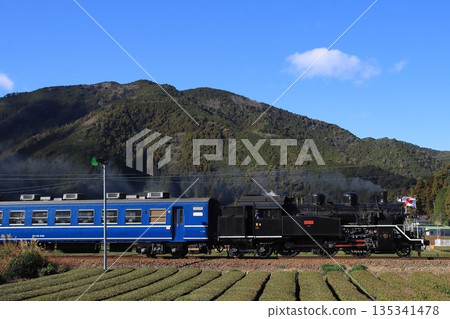 Oigawa Railway C10-8 express train running leisurely through a landscape of tea fields stretching out as far as the eye can see. Photo taken on January 3, 2026. Oigawa Railway C10-8 express train running leisurely through a landscape of tea fields stretching out as far as the eye can see. Photo taken on January 3, 2026. 135341478
