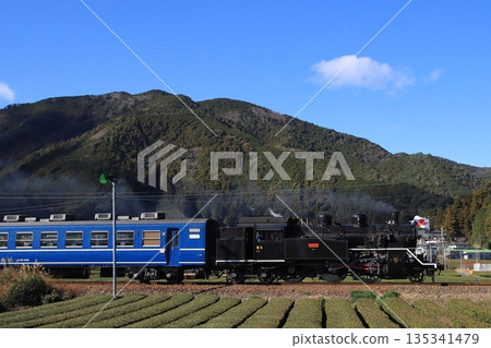Oigawa Railway C10-8 express train running leisurely through a landscape of tea fields stretching out as far as the eye can see. Photo taken on January 3, 2026. Oigawa Railway C10-8 express train running leisurely through a landscape of tea fields stretching out as far as the eye can see. Photo taken on January 3, 2026. 135341479