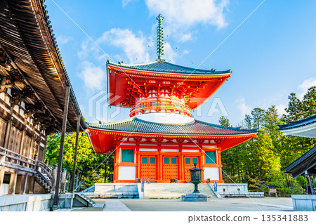 高野山 高野山 135341883