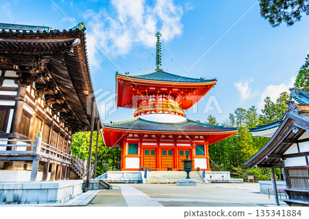 高野山 高野山 135341884