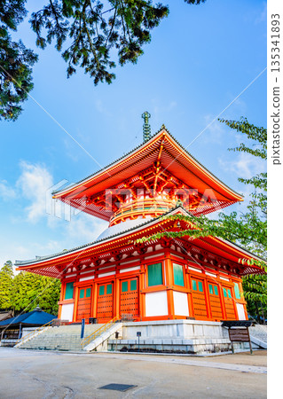 高野山、壇上伽藍、幹本大東 高野山、壇上伽藍、幹本大東 135341893