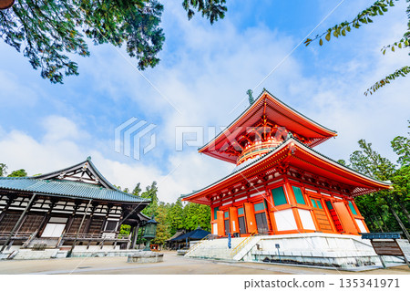 Mount Koya, Danjogaran, Main Pagoda and Golden Hall 135341971